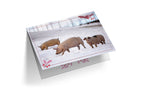 Set C - Sneeuwsnuitjes