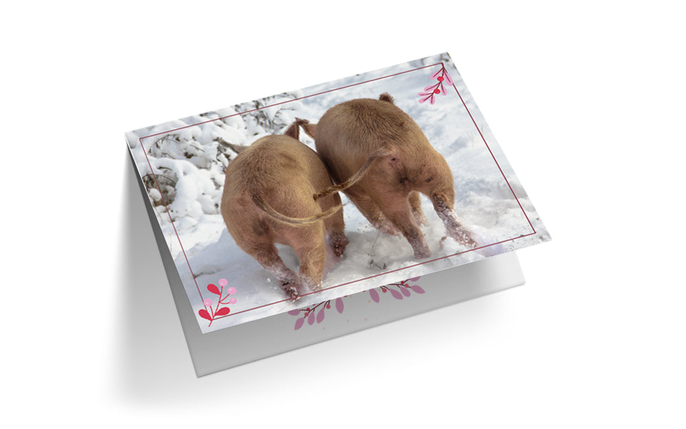 Set C - Sneeuwsnuitjes